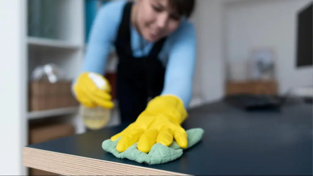 House cleaning in Edgartown