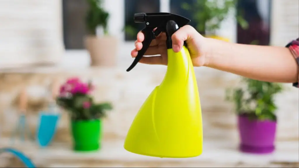 Eco-friendly cleaning services