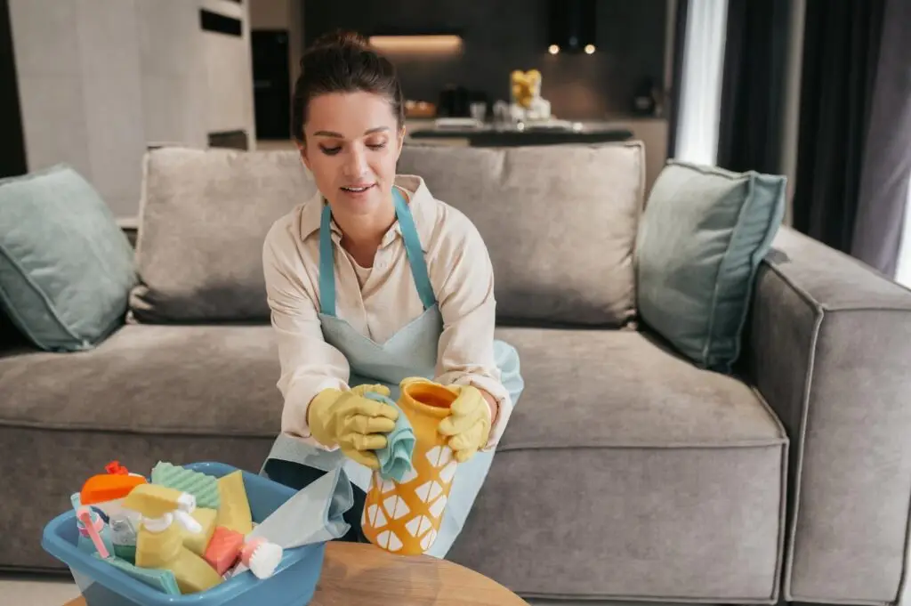 Regular Cleaning