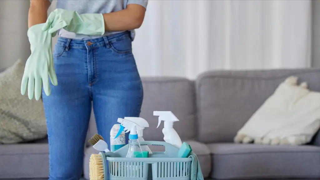 luxury home cleaning