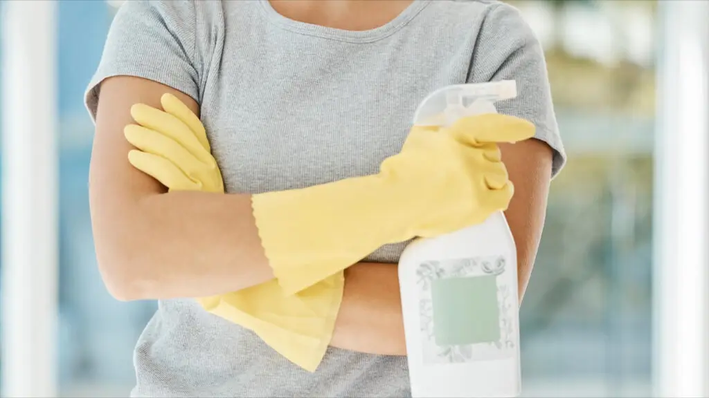 second home cleaning maintenance