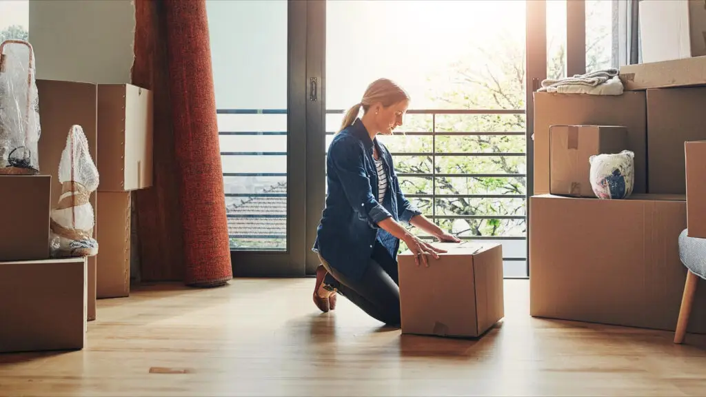 Move In/Out Cleaning