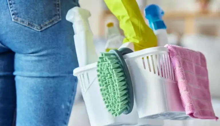 person holding basket of cleaning supplies