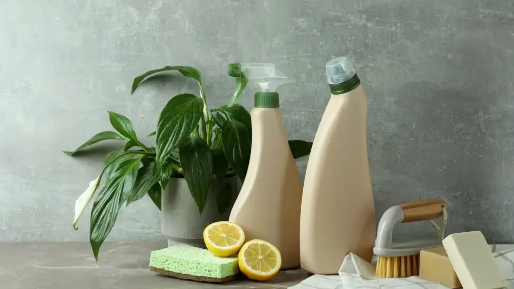 Eco-friendly cleaning products with lemon and plant