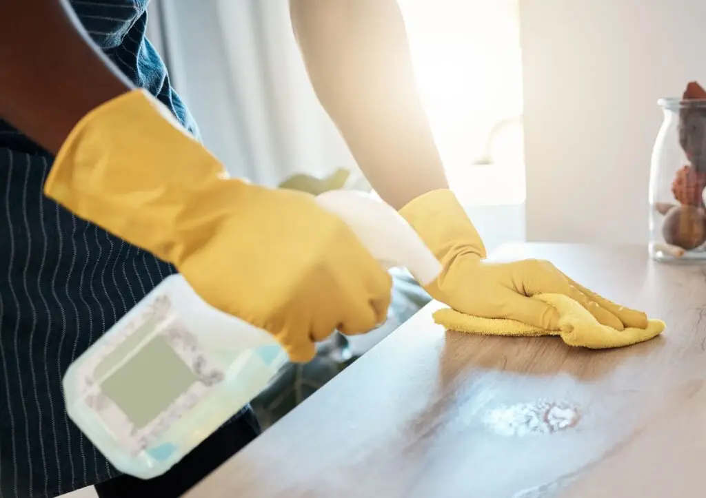 House Cleaning Habits